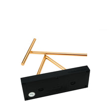 Load image into Gallery viewer, The Swinging Sticks - Basic - Black Gold
